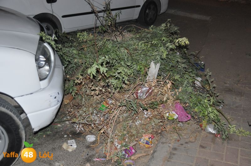 trash lud 907 (26).JPG